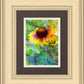 Indian Blanket Flower