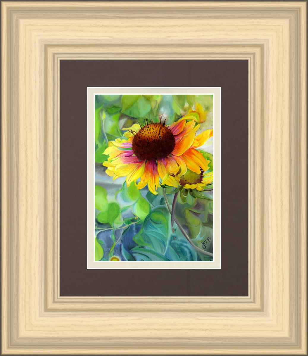 Indian Blanket Flower