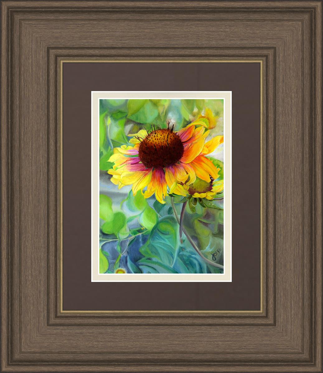 Indian Blanket Flower