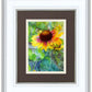 Indian Blanket Flower