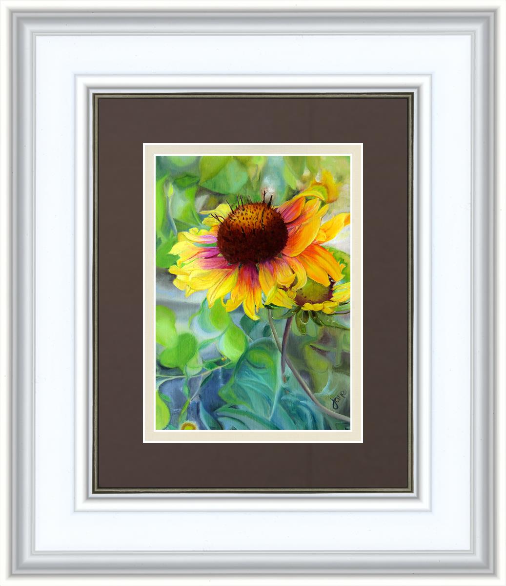 Indian Blanket Flower