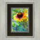Indian Blanket Flower