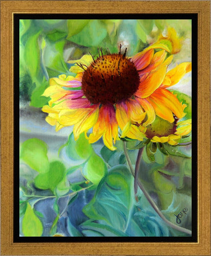 Indian Blanket Flower