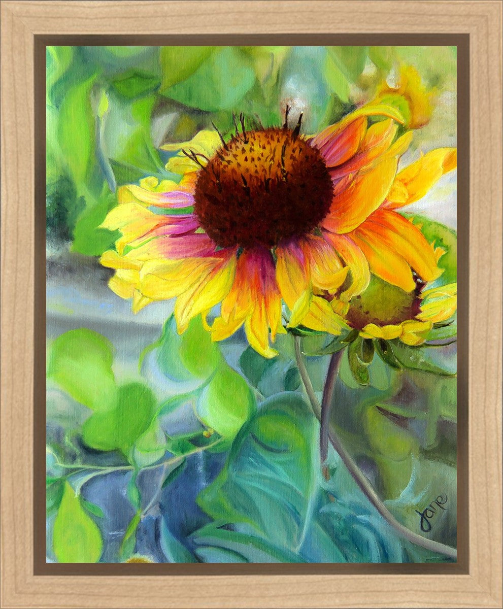 Indian Blanket Flower