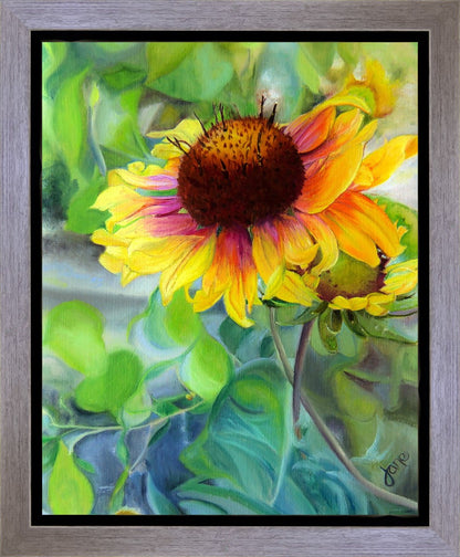 Indian Blanket Flower