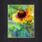 Indian Blanket Flower