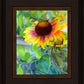 Indian Blanket Flower