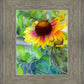 Indian Blanket Flower