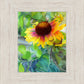Indian Blanket Flower
