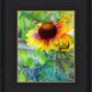 Indian Blanket Flower