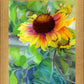 Indian Blanket Flower