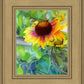 Indian Blanket Flower