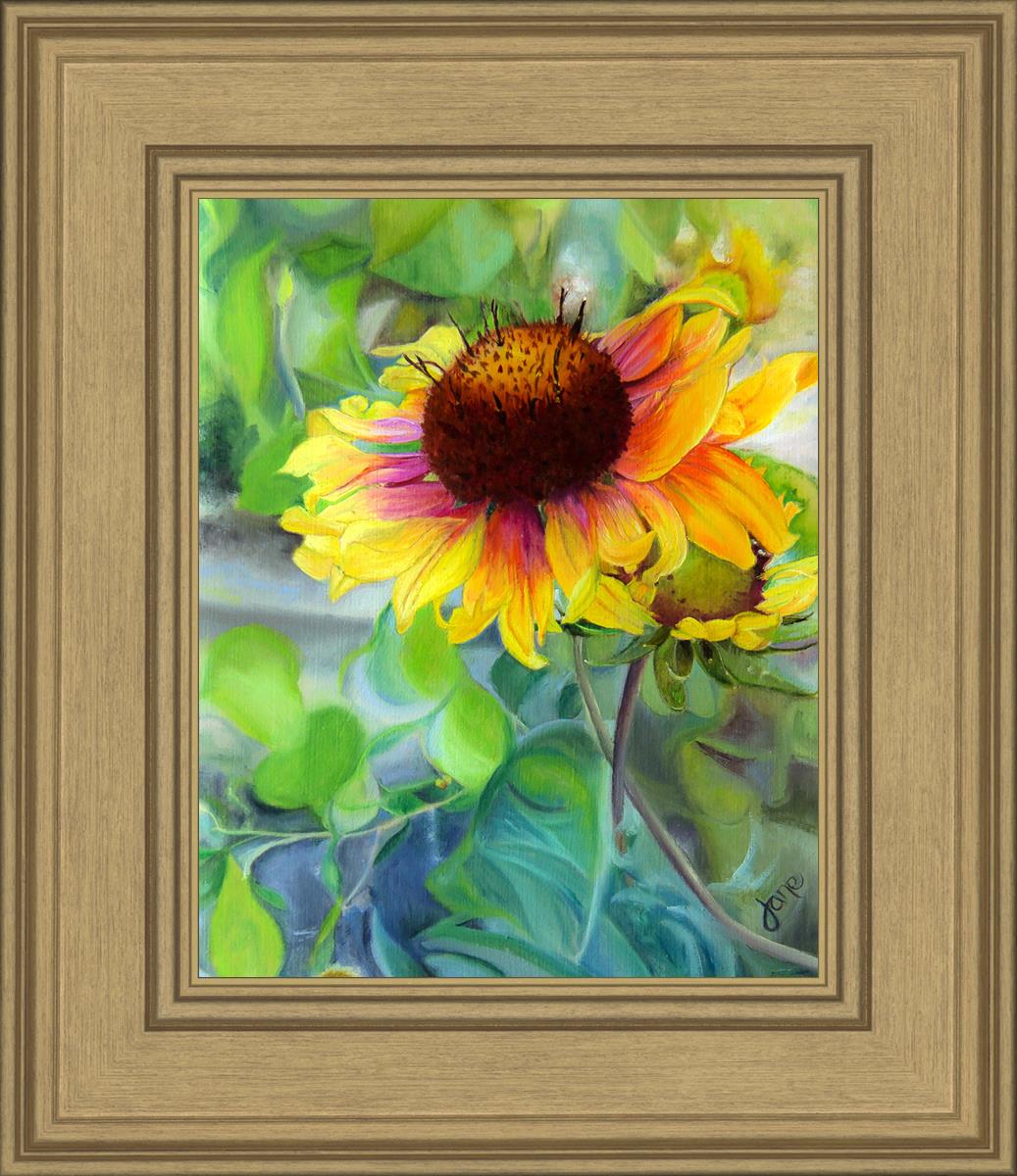 Indian Blanket Flower