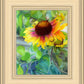 Indian Blanket Flower