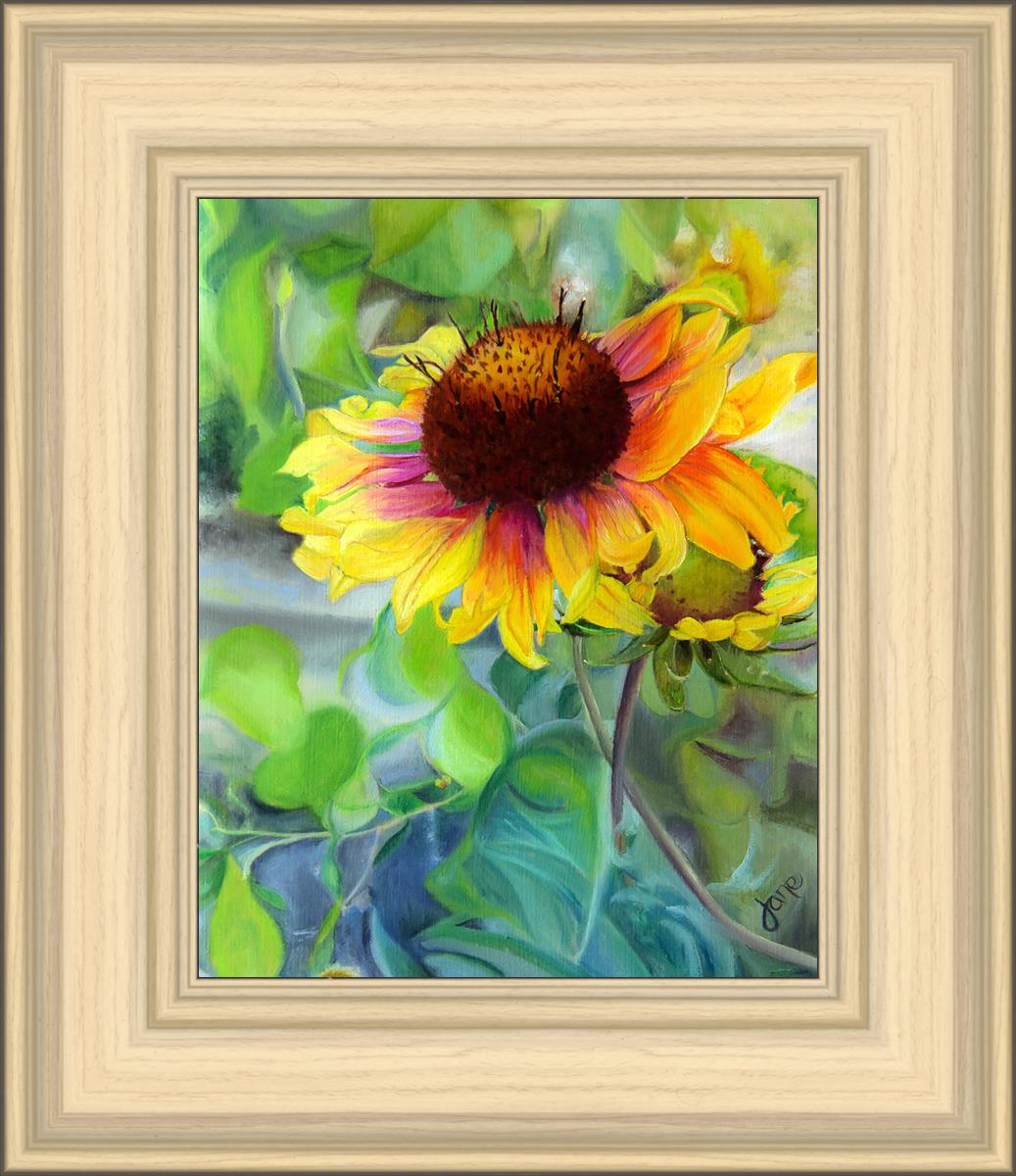 Indian Blanket Flower