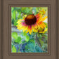 Indian Blanket Flower