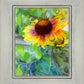 Indian Blanket Flower