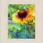 Indian Blanket Flower