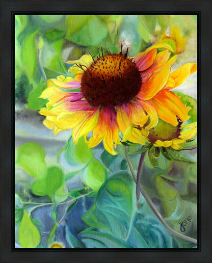 Indian Blanket Flower