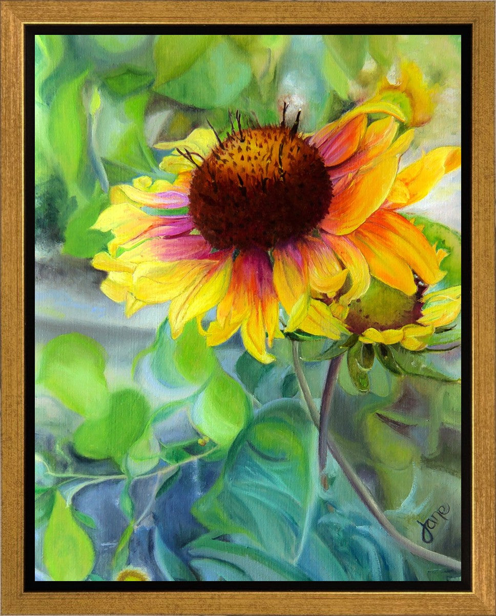 Indian Blanket Flower