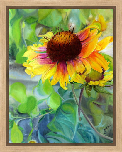 Indian Blanket Flower