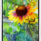 Indian Blanket Flower