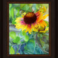 Indian Blanket Flower