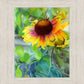 Indian Blanket Flower