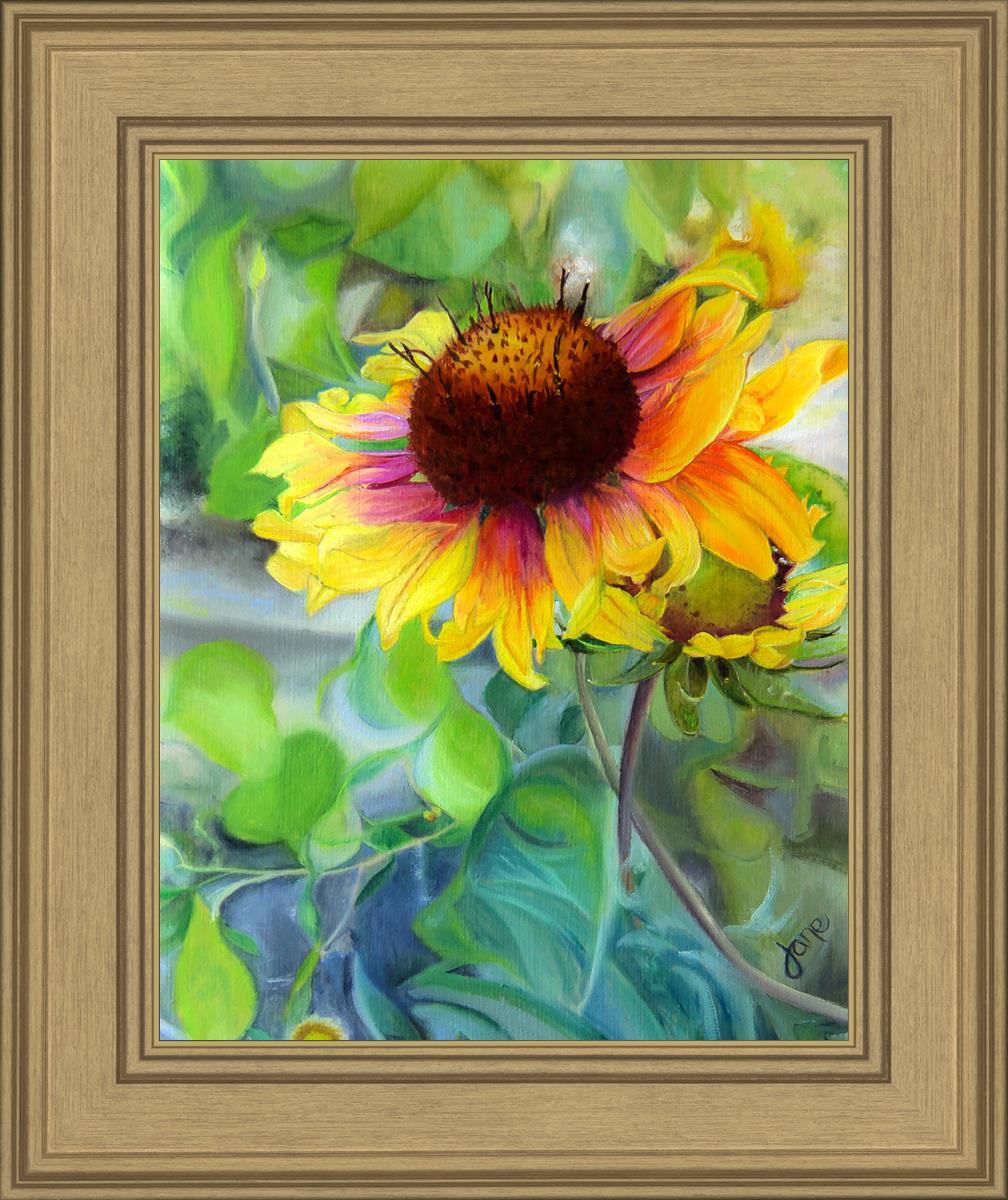 Indian Blanket Flower