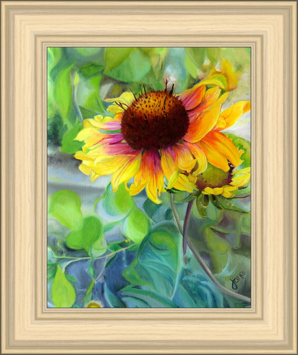 Indian Blanket Flower