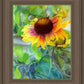 Indian Blanket Flower