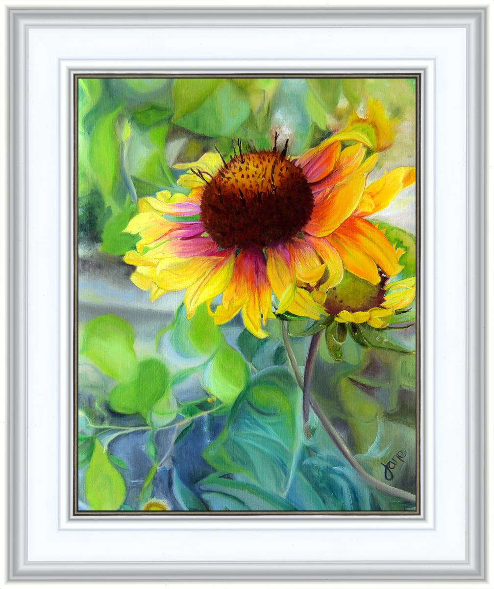 Indian Blanket Flower