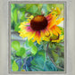 Indian Blanket Flower