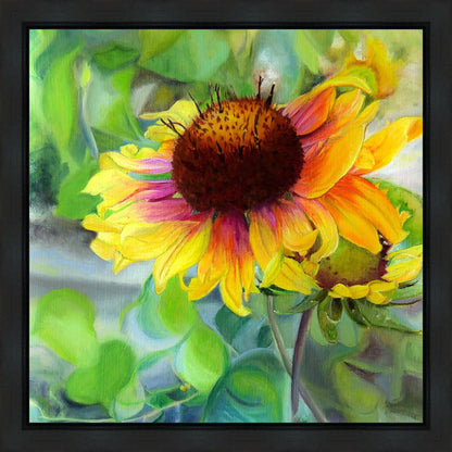 Indian Blanket Flower