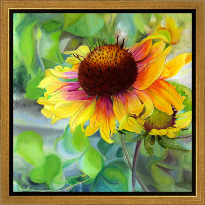 Indian Blanket Flower