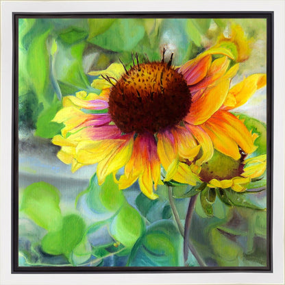 Indian Blanket Flower