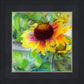 Indian Blanket Flower