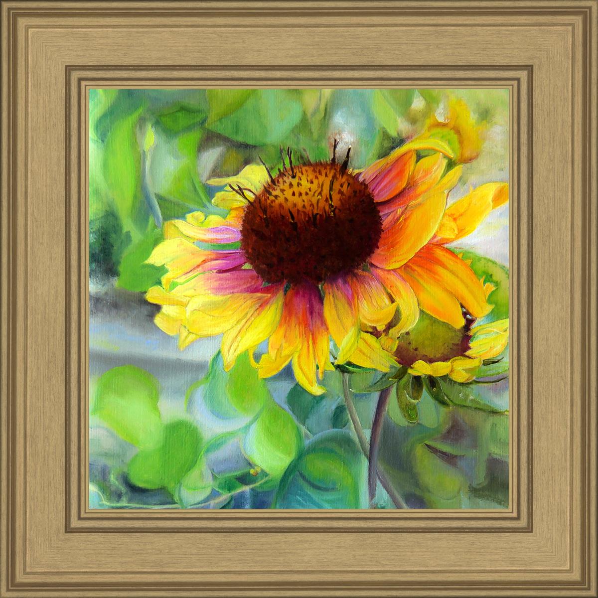 Indian Blanket Flower