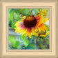 Indian Blanket Flower