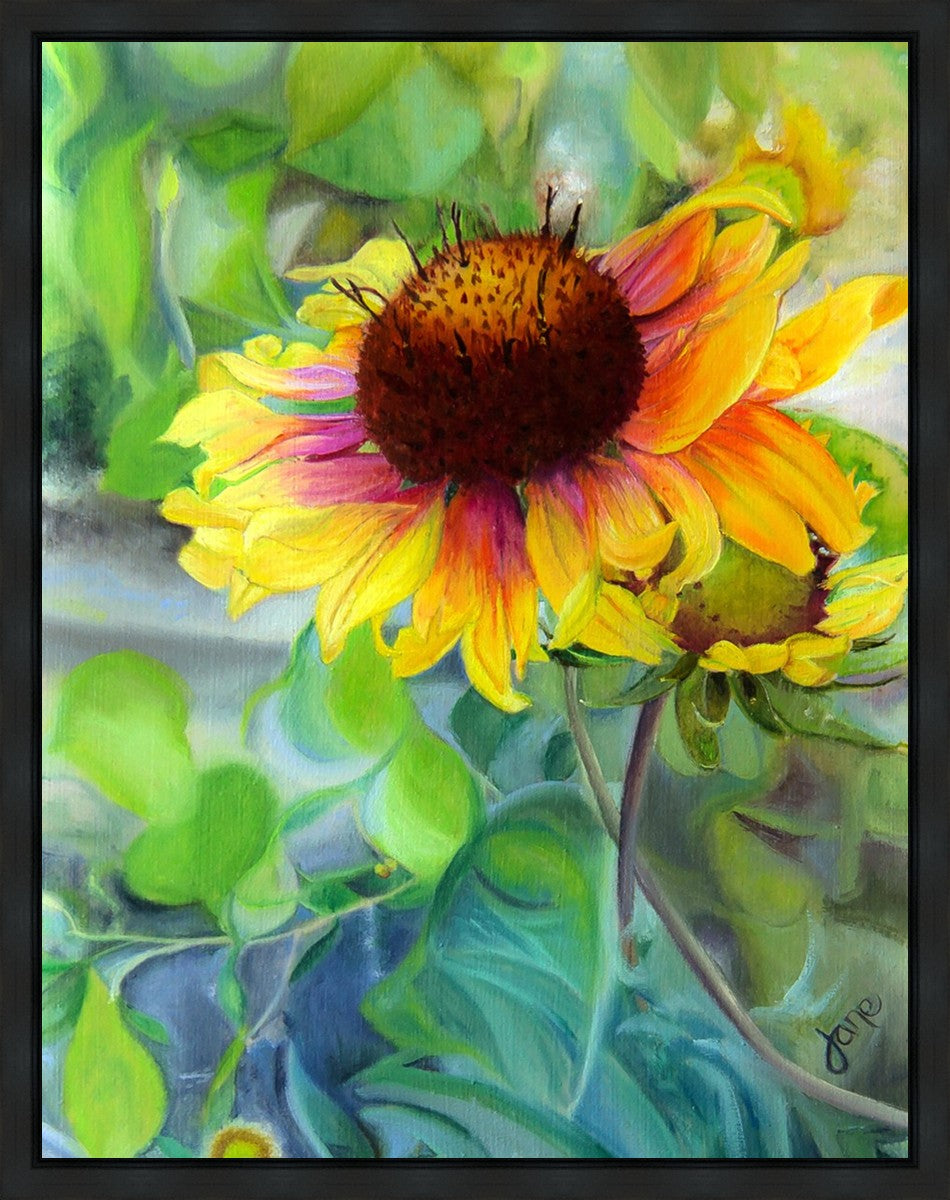 Indian Blanket Flower