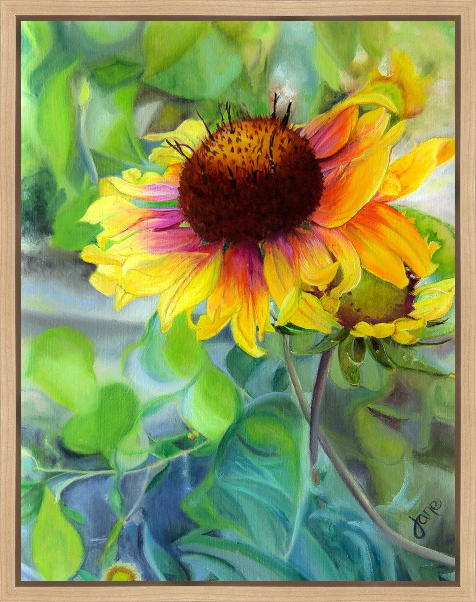 Indian Blanket Flower