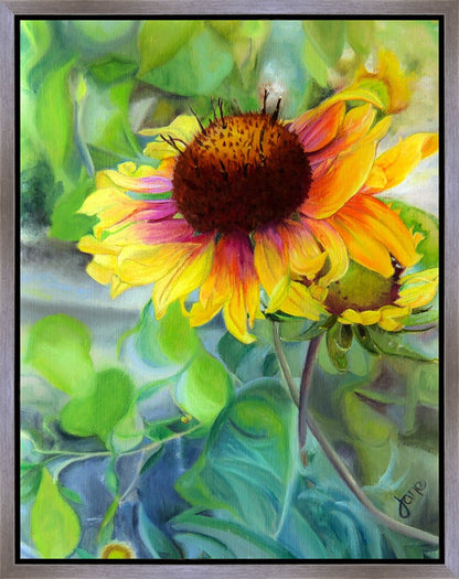 Indian Blanket Flower