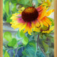 Indian Blanket Flower