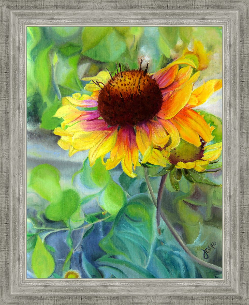 Indian Blanket Flower