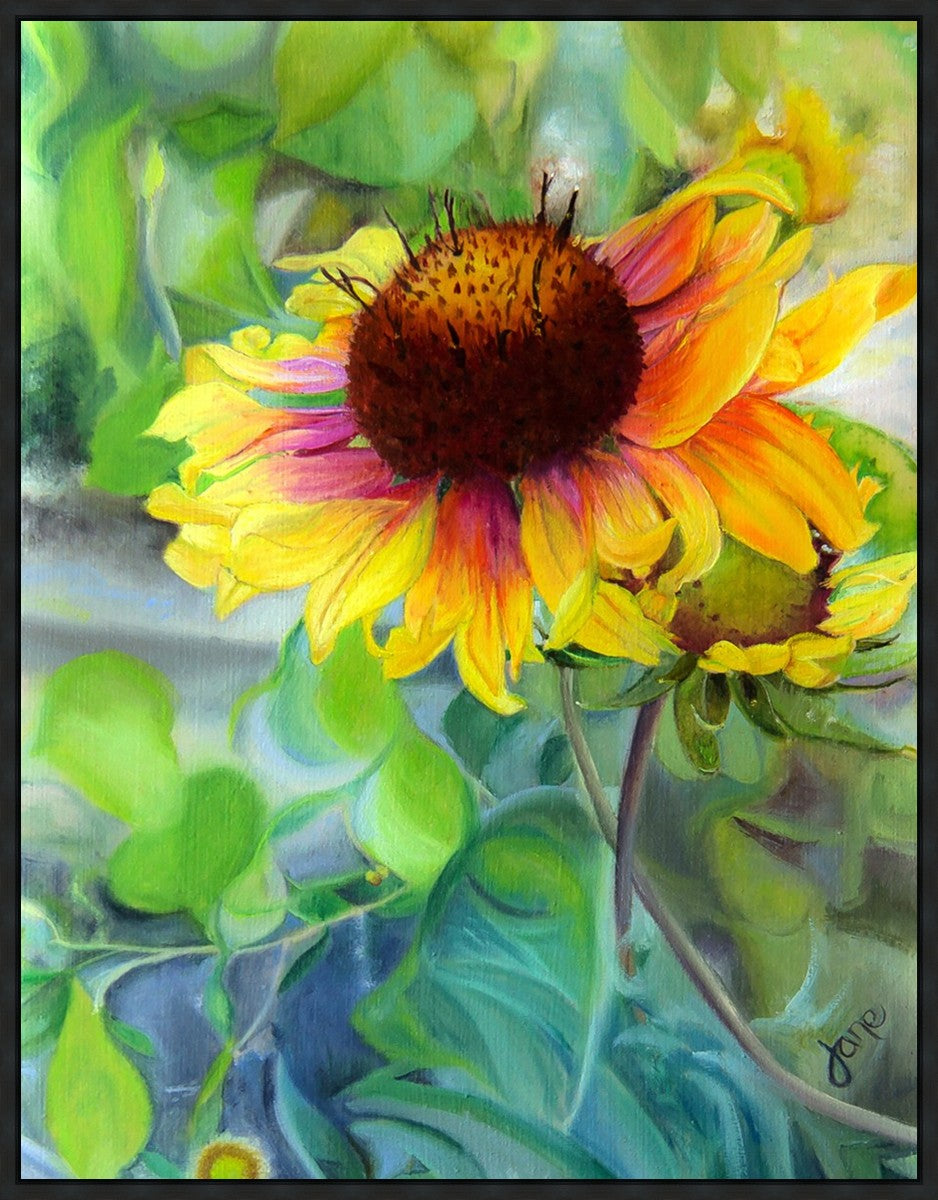 Indian Blanket Flower