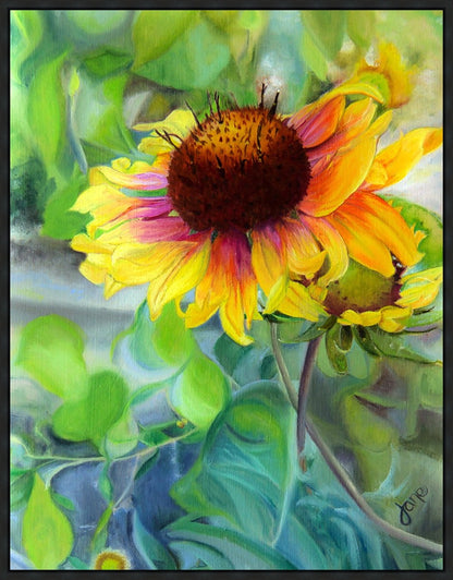 Indian Blanket Flower