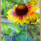 Indian Blanket Flower