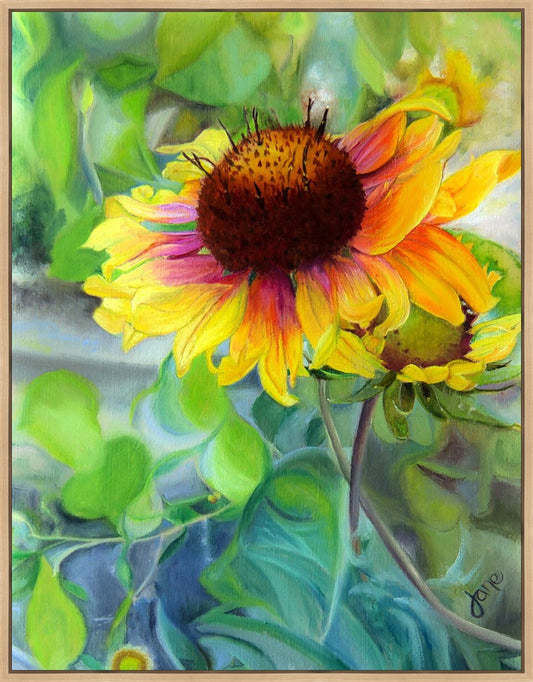 Indian Blanket Flower