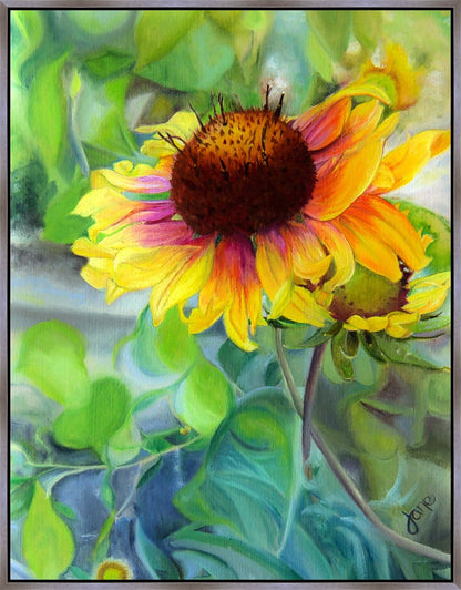 Indian Blanket Flower