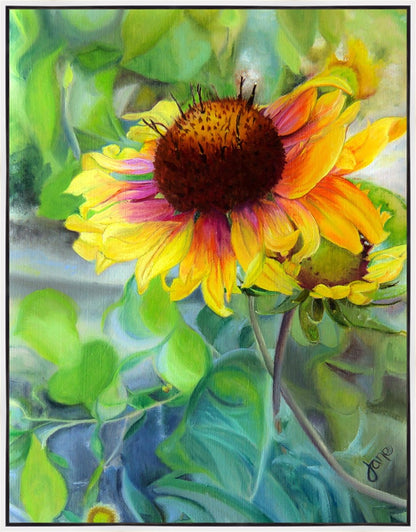 Indian Blanket Flower